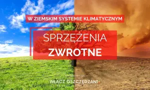 W ziemskim systemie klimatycznym zachodzą sprzężenia zwrotne. Obraz pokazuje kontrast między zieloną, żyzną ziemią a suchą, spękaną pustynią.