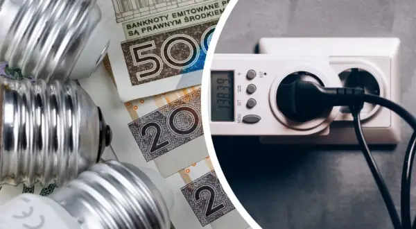 Żarówki i polskie banknoty leżą obok licznika energii, symbolizując wysokie zużycie prądu i koszty z nim związane.